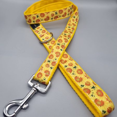 25mm, 4ft sunflower dog lead