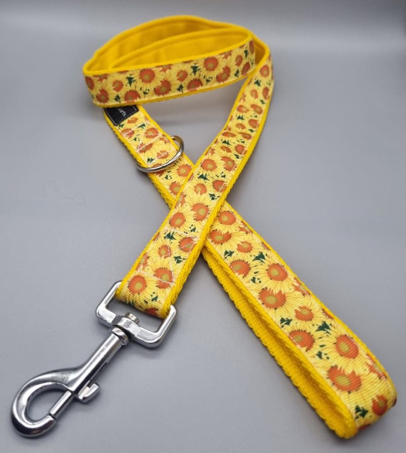 25mm, 4ft sunflower dog lead