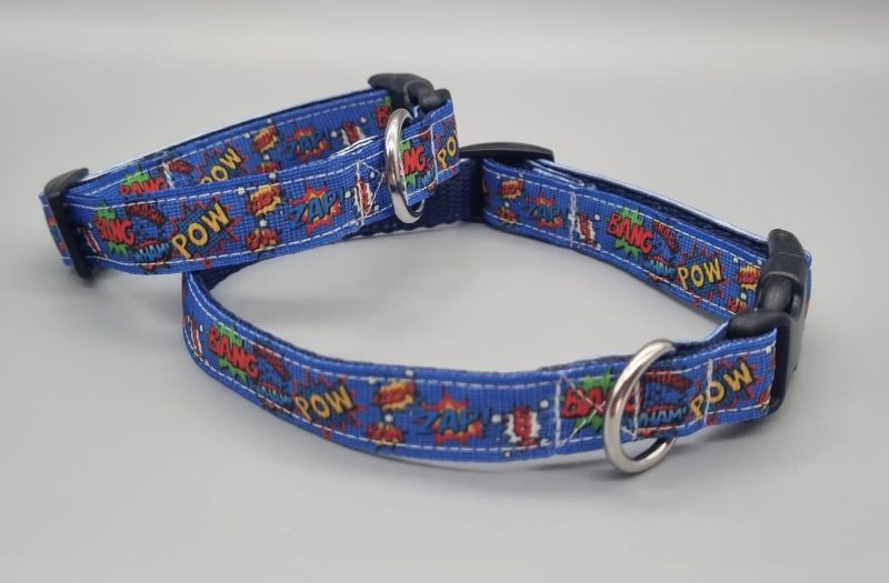 Crash, bang, pow dog collars/martingales & leads.