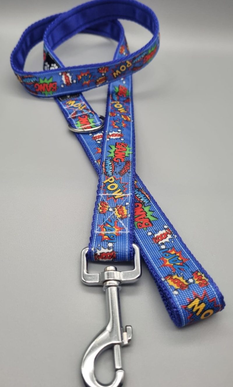Crash, bang, pow dog collars/martingales & leads.