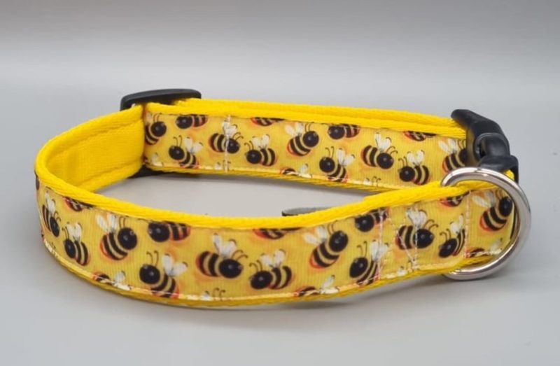 25mm bee design collar for dogs