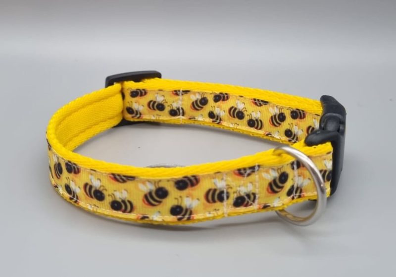 20mm bee design collar for dogs