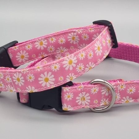 Pink daisy dog collars/martingales & leads.