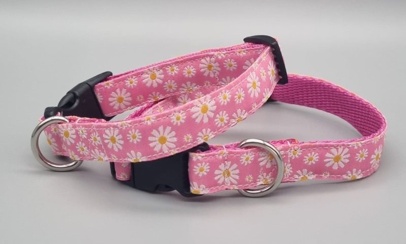 Pink daisy dog collars/martingales & leads.