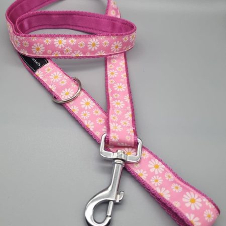 Pink daisy dog collars/martingales & leads.