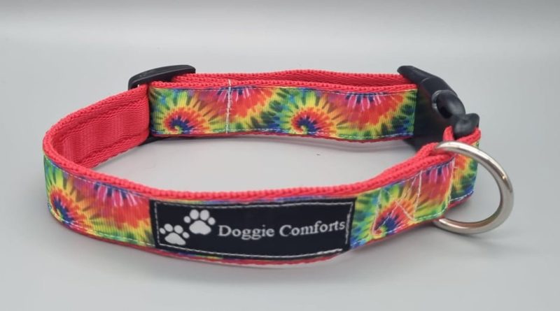 Abstract rainbow dog collars/martingales & leads.