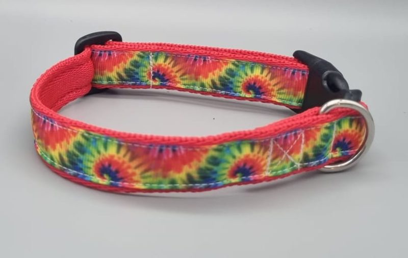 Abstract rainbow dog collars/martingales & leads.