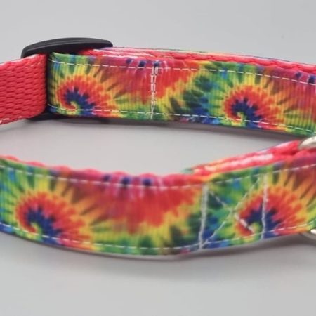 Abstract rainbow dog collars/martingales & leads.