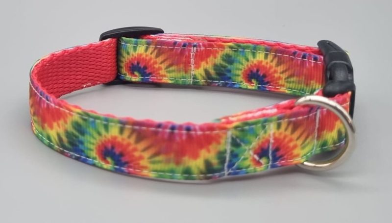 Abstract rainbow dog collars/martingales & leads.