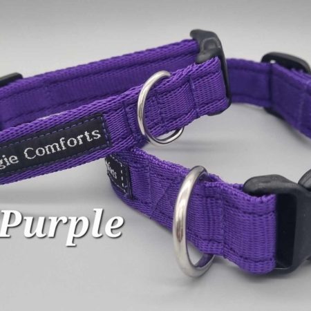 purple dog collar