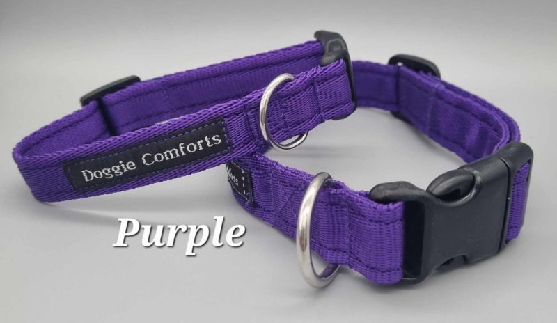 purple dog collar