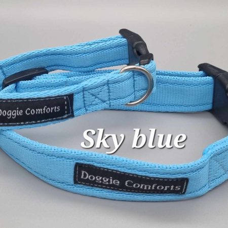 sky blue dog collar