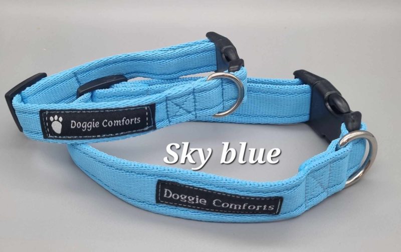 sky blue dog collar