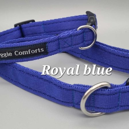 blue dog collar