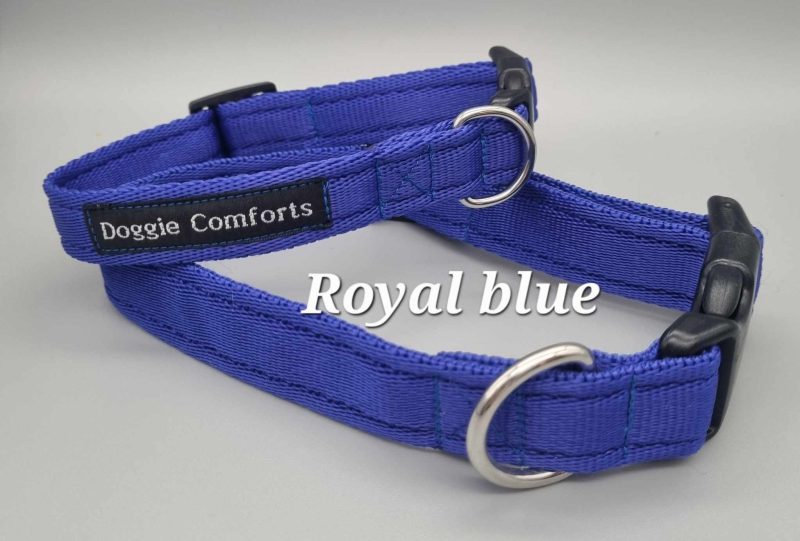 blue dog collar