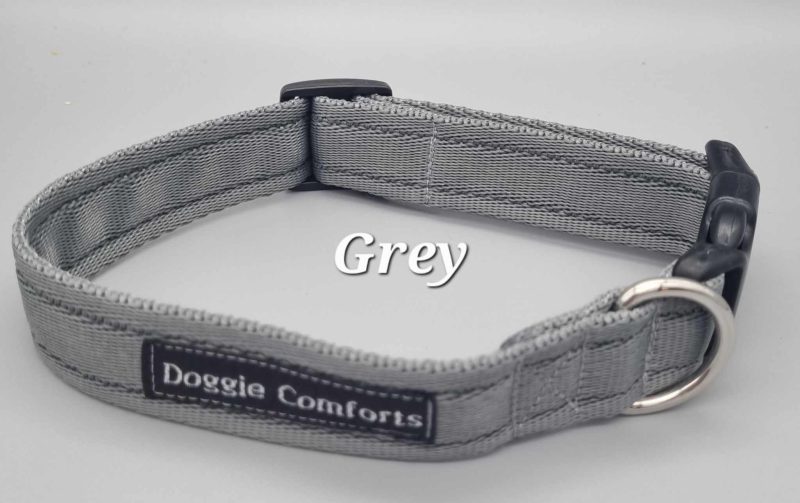 grey dog collar
