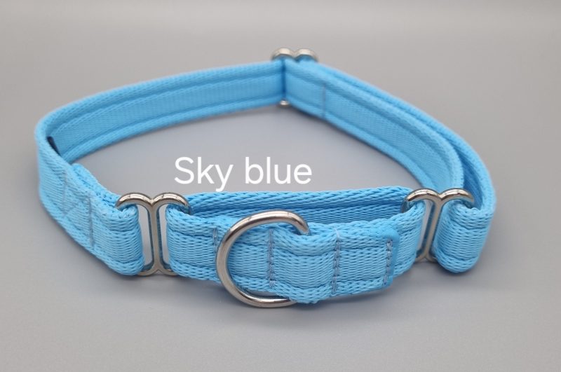Plain 20mm & 25mm martingale dog collars