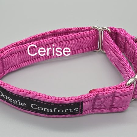 Plain 20mm & 25mm martingale dog collars