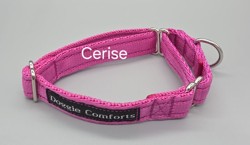 Plain 20mm & 25mm martingale dog collars