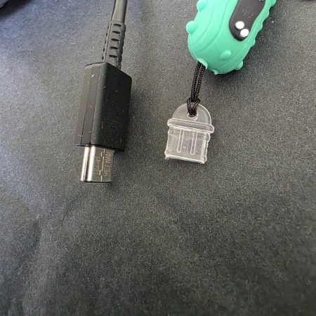 USB-C Dust Cover Charm, Pickle Design