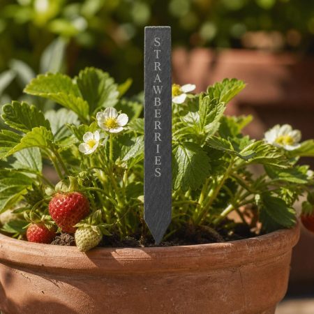 Slate Garden Sign, Personalised Plant, Custom Label, Allotment Gift