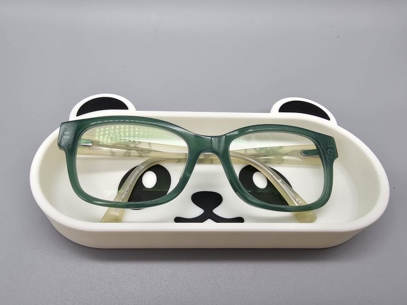 Fun Animal Glasses tray/ Catch anything tray