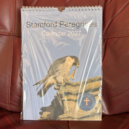 2027 A4 Calendar - Stamford Peregrines