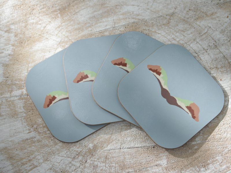 Set of four Sycamore seed coasters