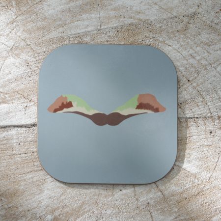 Set of four Sycamore seed coasters