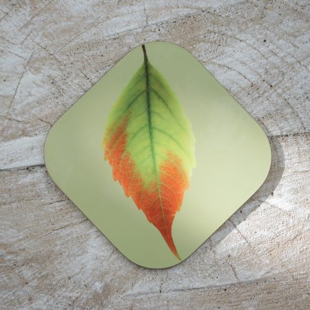 Set of four leaf print coasters