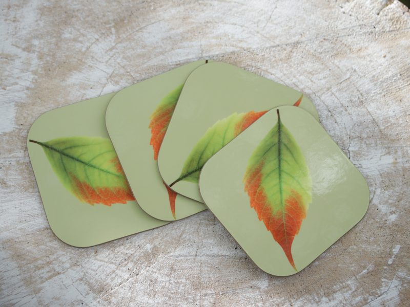 Set of four leaf print coasters