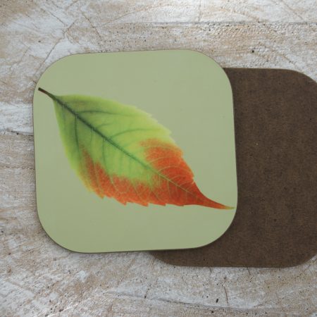 Set of four leaf print coasters