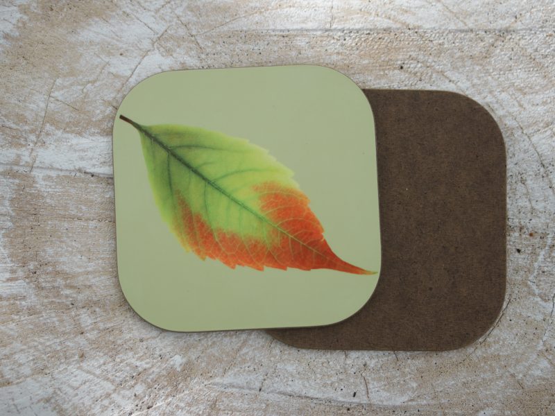 Set of four leaf print coasters