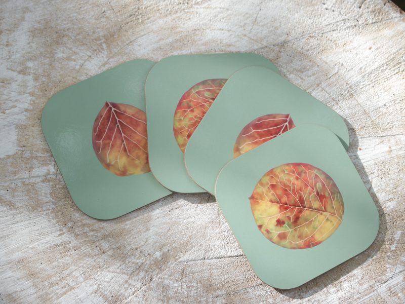 Set of four Cotoneaster leaf coasters