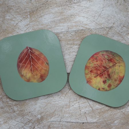 Set of four Cotoneaster leaf coasters