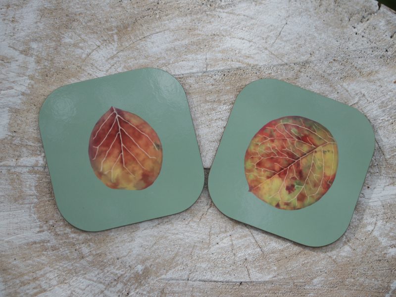 Set of four Cotoneaster leaf coasters