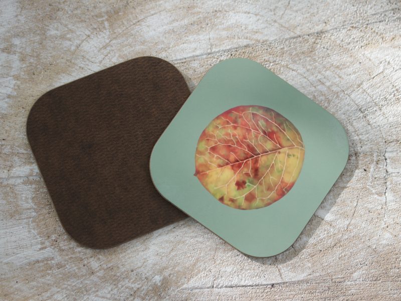 Set of four Cotoneaster leaf coasters
