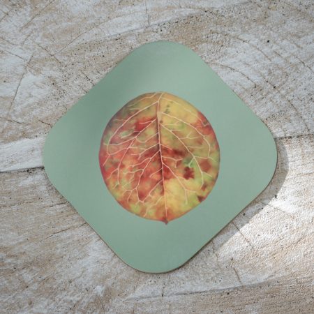 Set of four Cotoneaster leaf coasters