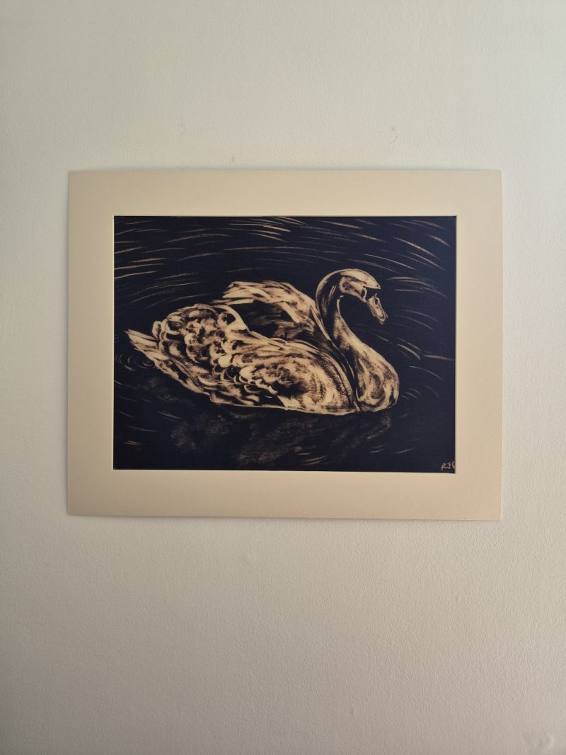 Hand-painted Bleach Swan on A3 Crepe Paper