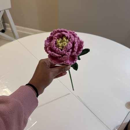 Handmade Crochet Peony Flowers - Set of 2