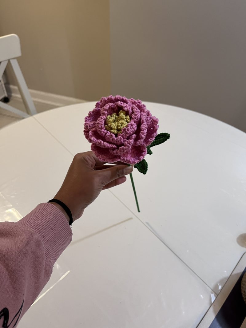 Handmade Crochet Peony Flowers - Set of 2