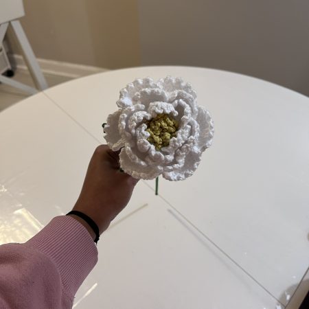 Handmade Crochet Peony Flowers - Set of 2