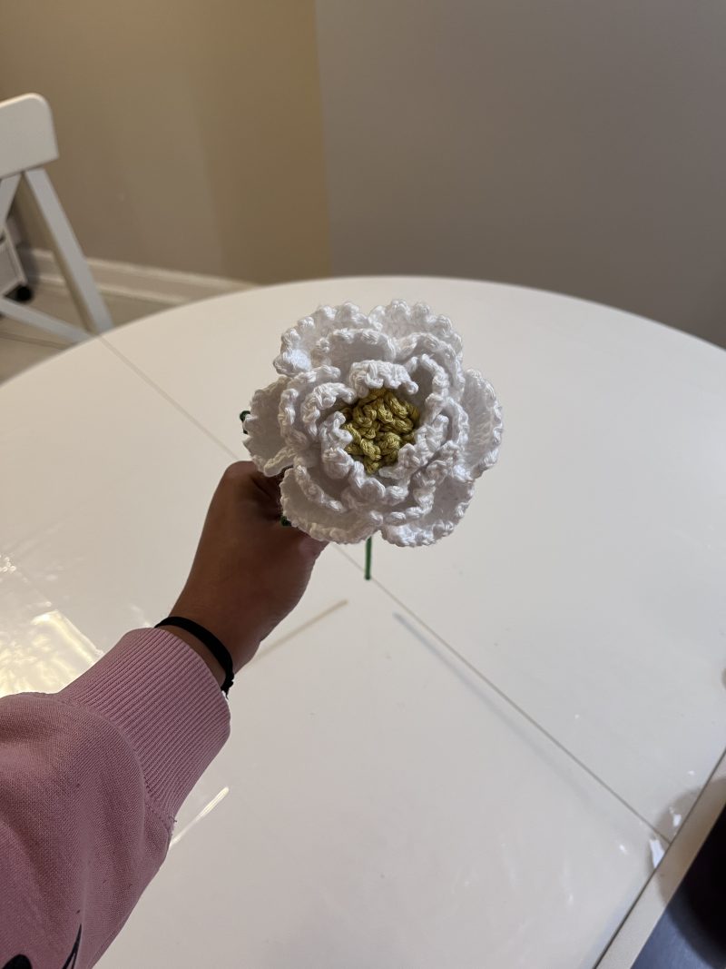 Handmade Crochet Peony Flowers - Set of 2