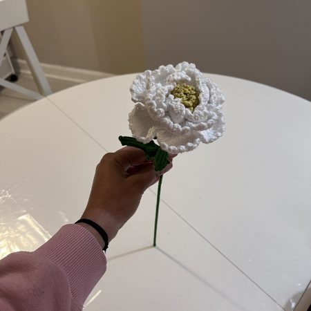 Handmade Crochet Peony Flowers - Set of 2