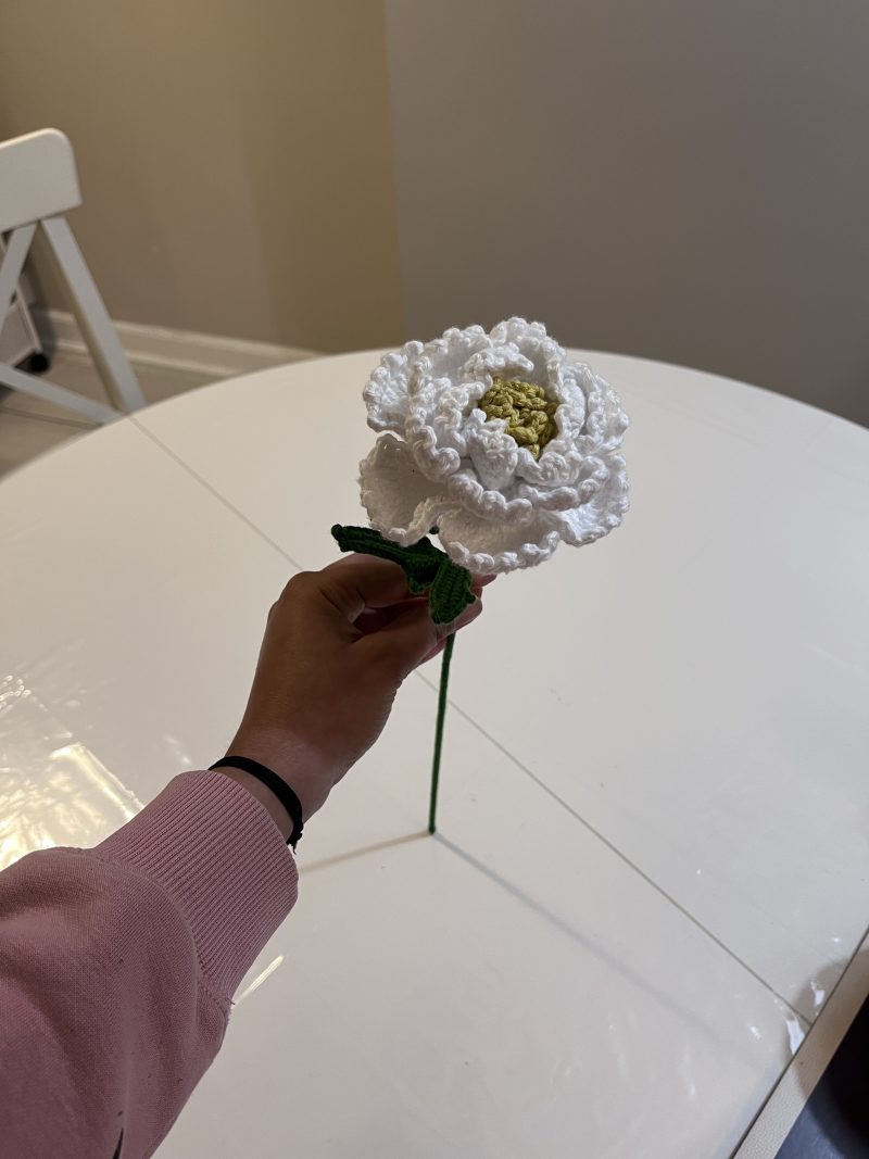 Handmade Crochet Peony Flowers - Set of 2