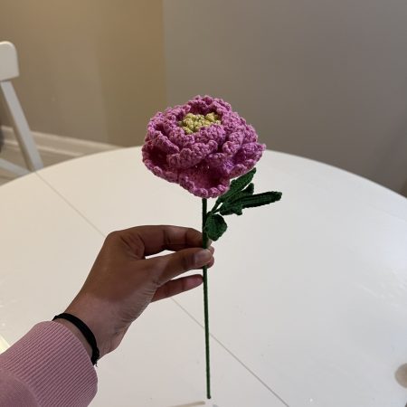 Handmade Crochet Peony Flowers - Set of 2