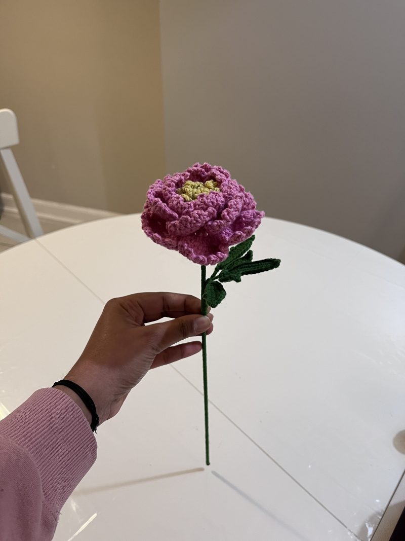 Handmade Crochet Peony Flowers - Set of 2
