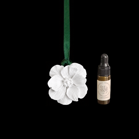Botanical Flower Hanging Aroma Diffuser & Pure Essential Oil Set