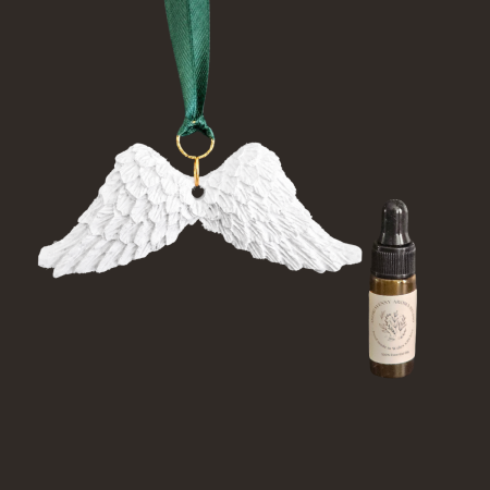 Botanical Angel Wings Hanging Aroma Diffuser & Pure Essential