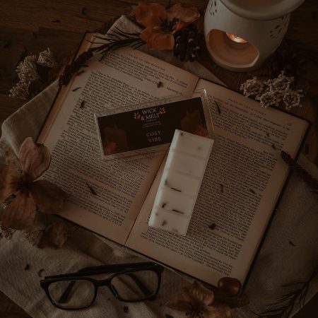 Cosy Vibe Wax Melts